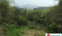 风水视频,传统智慧在现代家居布局中的应用